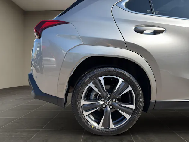 Lexus UX 300h Excellence
