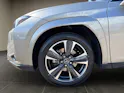 Lexus UX 300h Excellence