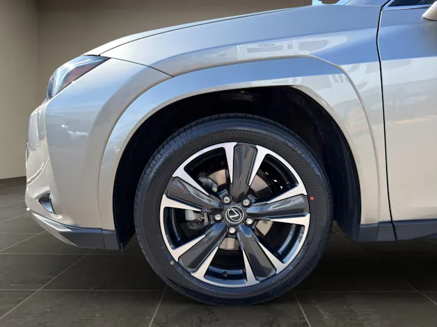 Lexus UX 300h Excellence