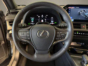 Lexus UX 300h Excellence