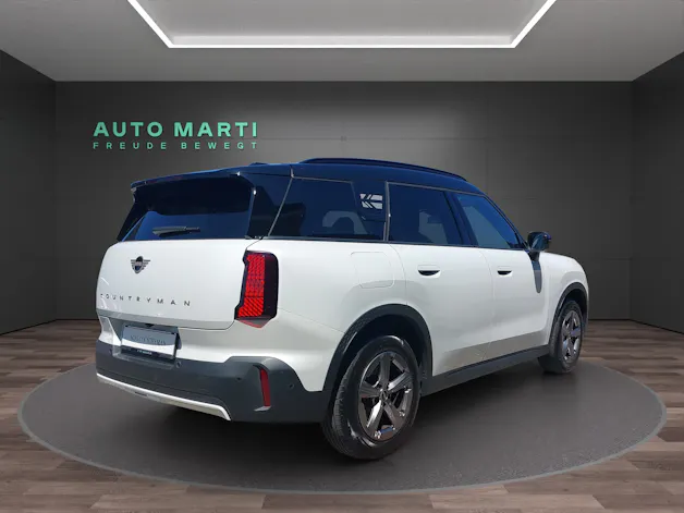 Mini Countryman U25 1.5i C paddles