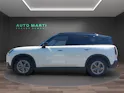 Mini Countryman U25 1.5i C paddles