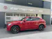 Alfa Romeo Stelvio 2.9 V6 Biturbo Q4 Quadrifoglio - CH