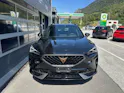 Cupra Formentor 2.0 TSI 4Drive DSG