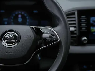 Škoda Karoq 1.5 TSI Selection DSG *Sitzheizung*Lenkradheizung*Rückfahrkamera*
