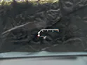 BMW X4M xDrive M Competition Steptronic *Panorama*Sitzlüftung*Head-UP*