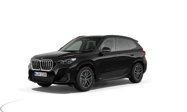 BMW X1 20d xDrive paddles