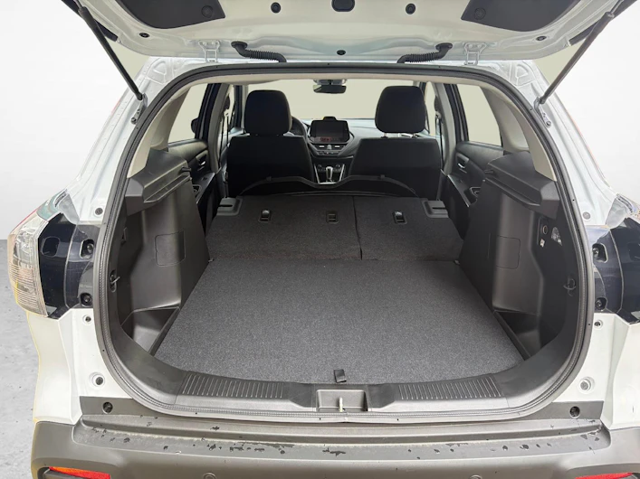 immagine del veicolo SUZUKI S-CROSS
