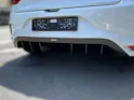 Renault Megane R.S. Trophy-R 300