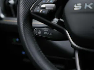 Škoda Kodiaq 2.0 TSI Sportline 4x4 *7 Plätzer*Abstandsregler*Matrix LED Scheinwerfer*