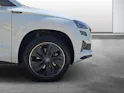 Škoda Karoq 2.0 TSI Dynamic Limited Edition 4x4 DSG