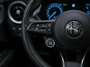 Alfa Romeo Stelvio 2.0 Veloce Q4 AT8 *Abstandsregler*El. Sitze mit Memory*Harman/Kardon Soundsystem*