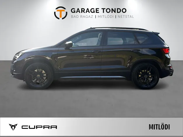Cupra Cupra Ateca 2.0 TSI 4Drive DSG