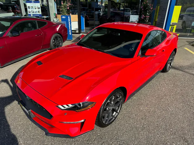 Ford Mustang Fastback 2.3 Automat - US IMPORT / sehr gepflegt