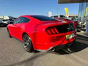 Ford Mustang Fastback 2.3 Automat - US IMPORT / sehr gepflegt