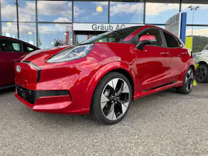Ford Puma Elektro 43kWh Premium