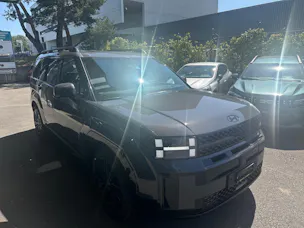 Hyundai Santa Fe 1.6 T-GDi HEV Calligraphy Swiss Ed. 4WD Automatic