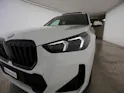 BMW X1 30e xDrive paddles