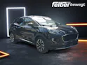 Ford Puma 1.0 EcoB Hybrid 125 Titanium