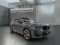 BMW X1 30e xDrive paddles