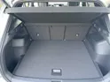 VW Tiguan 2.0 TSI R-Line Plus DSG 4motion