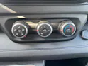Renault Trafic Blue dCi 150 Grand Passenger Evolution EDC