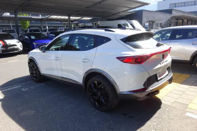 Cupra Formentor2.0TSI 4D DSG