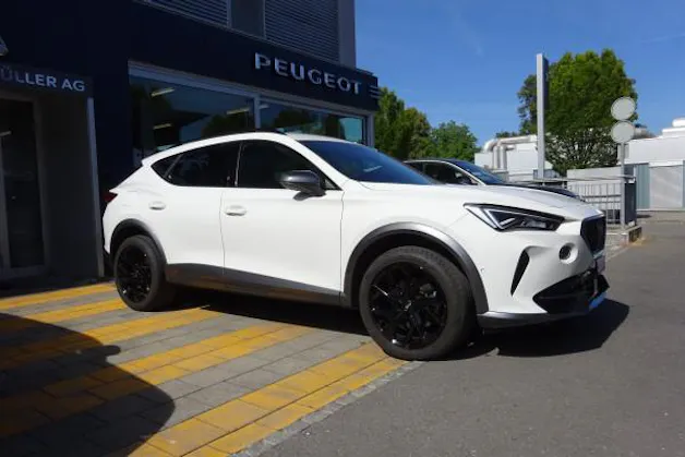 Cupra Formentor2.0TSI 4D DSG