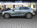 Audi SQ5 TDI quattro tiptronic Daytonagrau Perleffekt