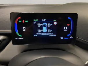 BYD Dolphin Surf Comfort