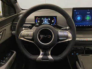BYD Dolphin Surf Comfort
