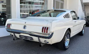 Ford V8 Fastback 302