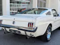 FORD V8 Fastback 302
