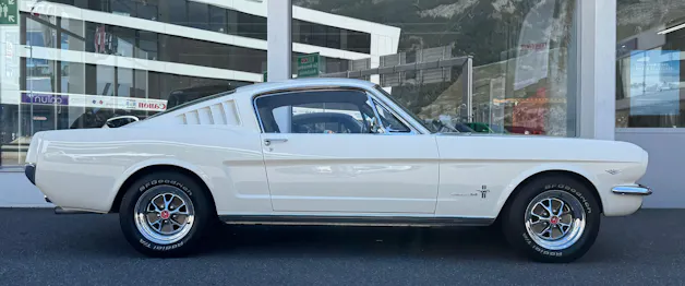FORD V8 Fastback 302