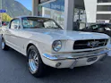 FORD V8 Fastback 302