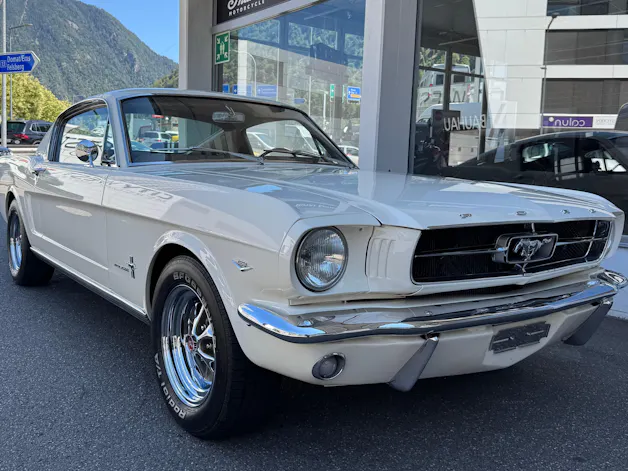 FORD V8 Fastback 302