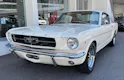 FORD V8 Fastback 302