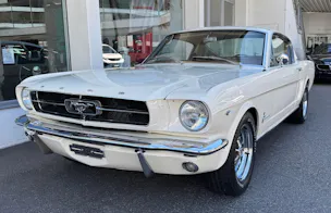 Ford V8 Fastback 302