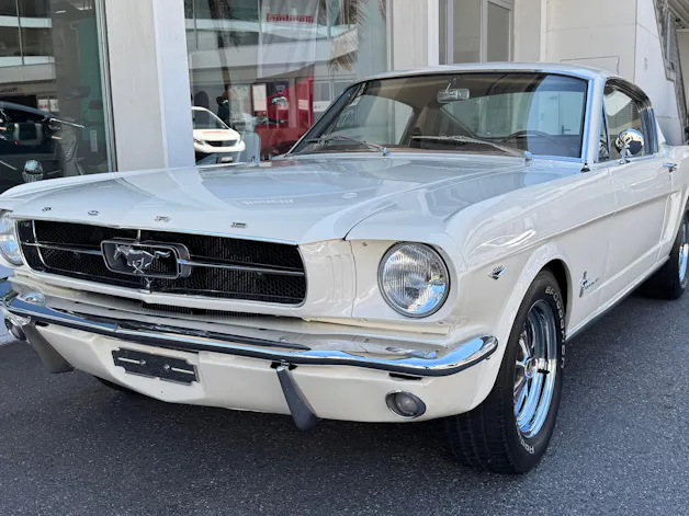 FORD V8 Fastback 302