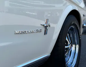 Ford V8 Fastback 302