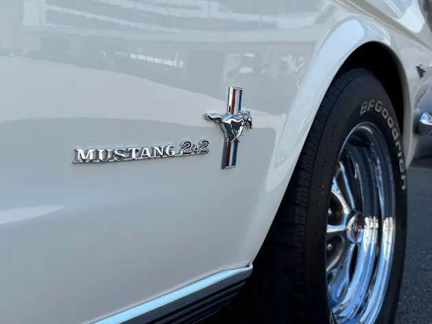 FORD V8 Fastback 302