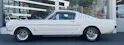FORD V8 Fastback 302