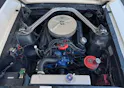 FORD V8 Fastback 302