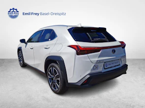 Fahrzeugbild LEXUS UX 250h Comfort