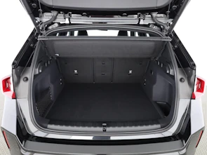 Fahrzeugbild BMW X1 30e xDrive paddles
