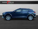 Cupra Formentor 2.0 TSI 4Drive DSG