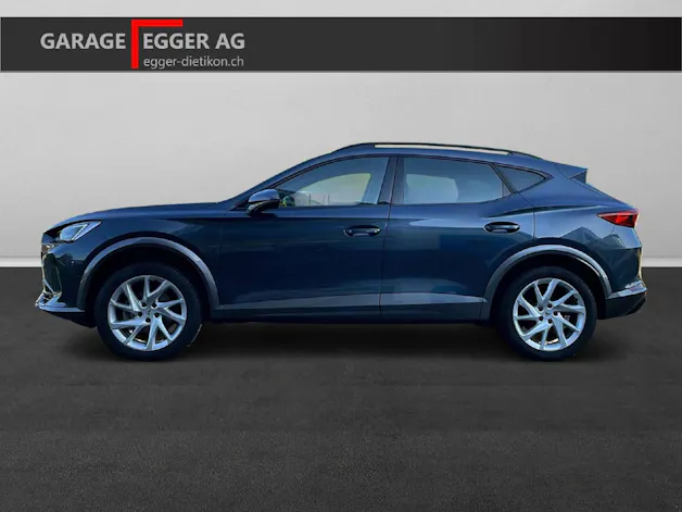 Cupra Formentor 2.0 TSI 4Drive DSG