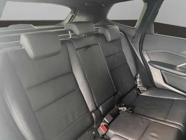 BMW X1 25e xDrive paddles