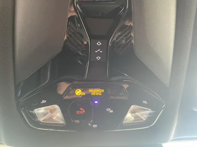 BMW X1 25e xDrive paddles
