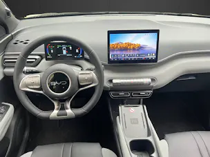 BYD Dolphin Surf Comfort